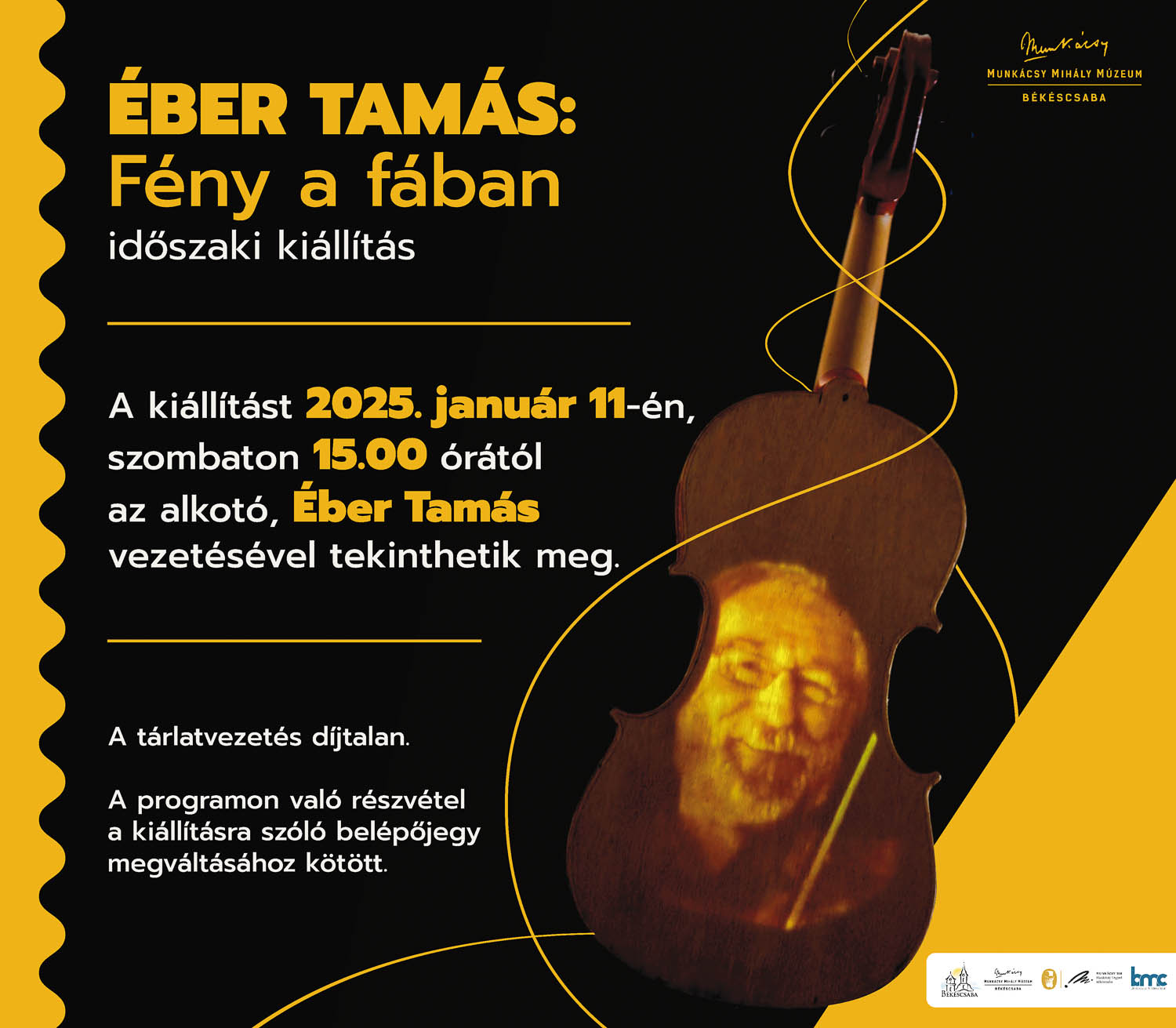 fény a fában