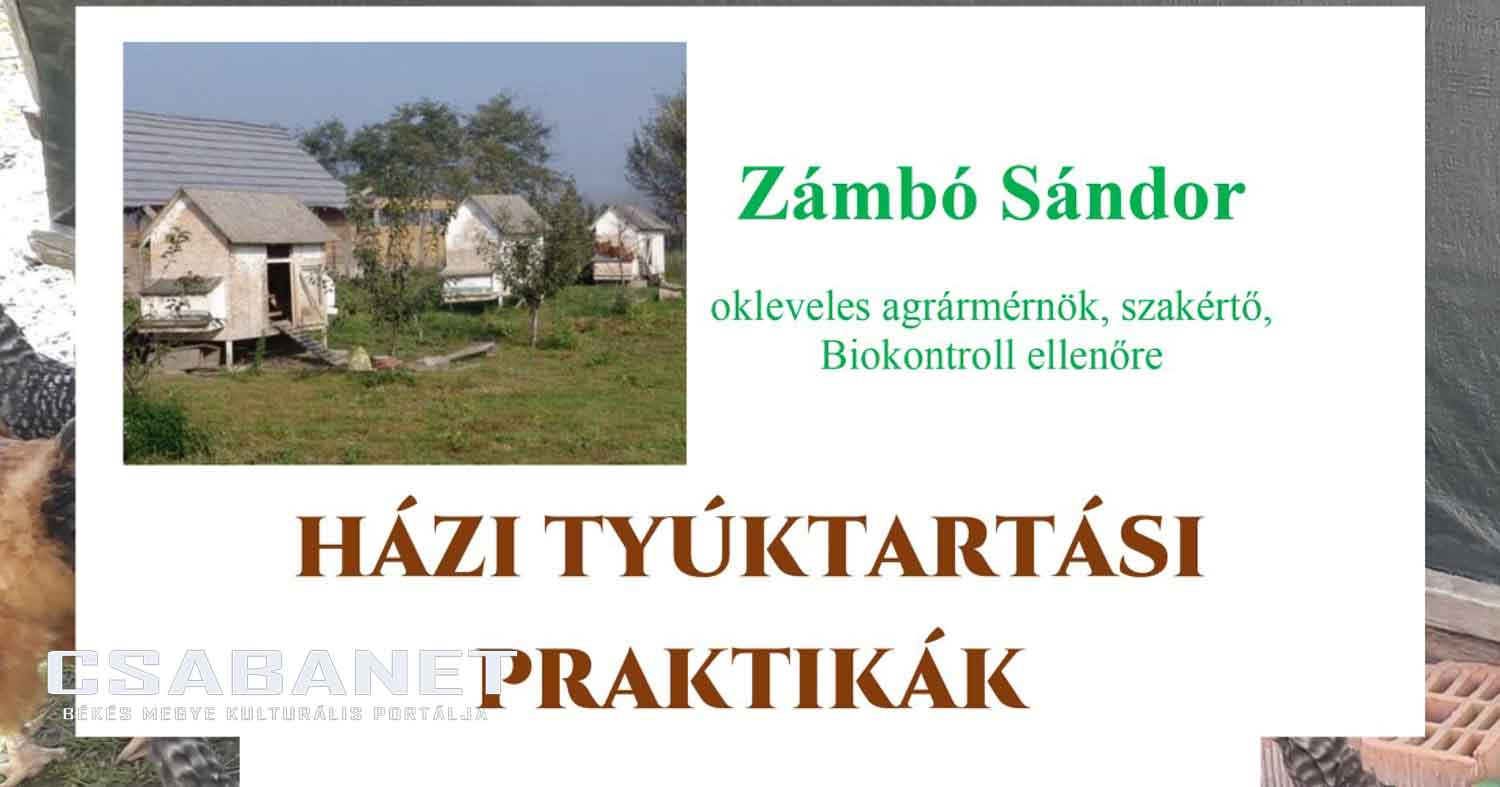 Házi Tyúktartás: Önellátás és Minőségi Tojás Termelése