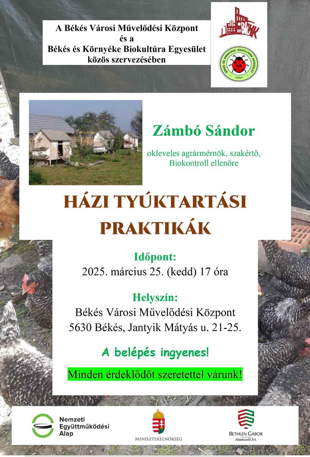 Házi tyúktartási praktikák
