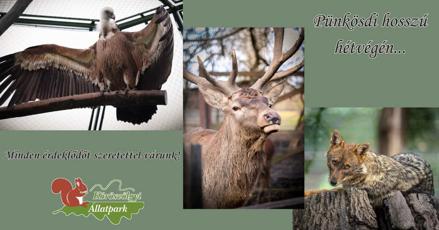 Körös-Maros Nemzeti Park eseményei