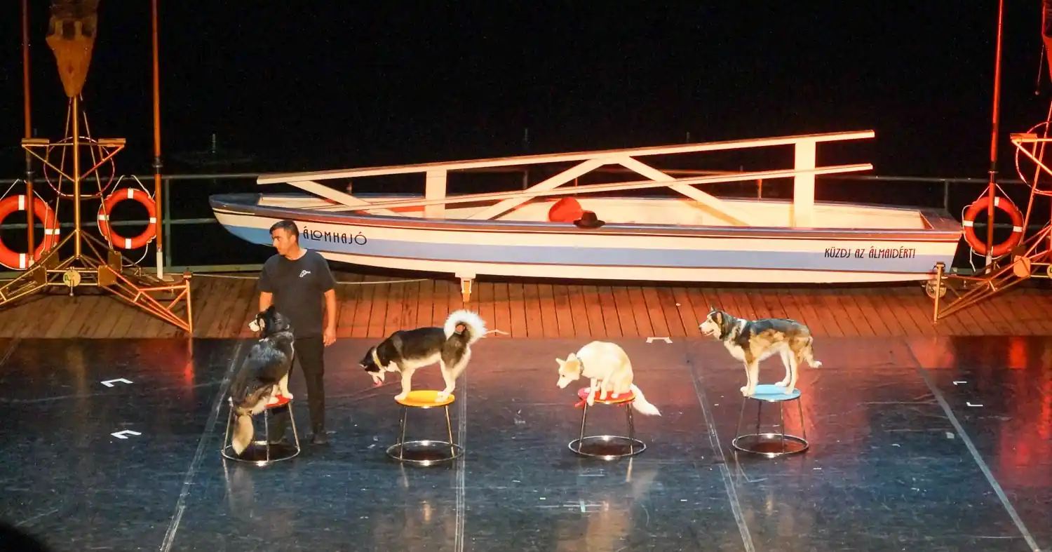 cirkusz 10