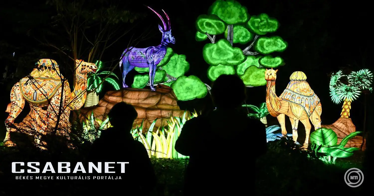 Valentin-nap - Programok és kedvezmények a Fővárosi Állatkertben