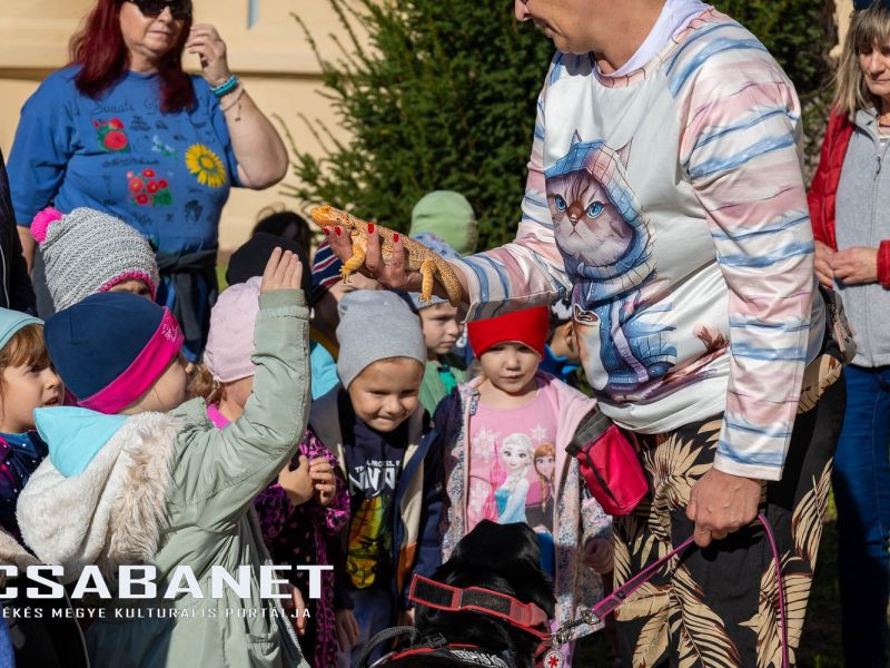 Az állatvédelem aspektusaival ismerkedtek az ovisok Kígyóson Az állatvédelem aspektusaival ismerkedtek az ovisok Kígyóson