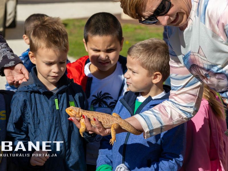 Az állatvédelem aspektusaival ismerkedtek az ovisok Kígyóson Az állatvédelem aspektusaival ismerkedtek az ovisok Kígyóson