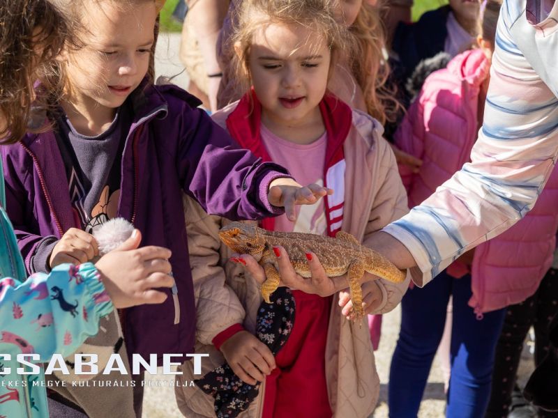 Az állatvédelem aspektusaival ismerkedtek az ovisok Kígyóson Az állatvédelem aspektusaival ismerkedtek az ovisok Kígyóson