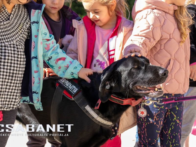 Az állatvédelem aspektusaival ismerkedtek az ovisok Kígyóson Az állatvédelem aspektusaival ismerkedtek az ovisok Kígyóson