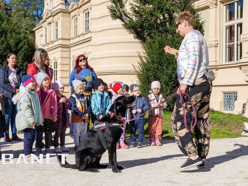 Az állatvédelem aspektusaival ismerkedtek az ovisok Kígyóson Az állatvédelem aspektusaival ismerkedtek az ovisok Kígyóson