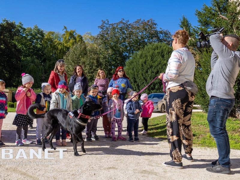 Az állatvédelem aspektusaival ismerkedtek az ovisok Kígyóson Az állatvédelem aspektusaival ismerkedtek az ovisok Kígyóson