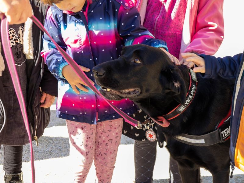 Az állatvédelem aspektusaival ismerkedtek az ovisok Kígyóson Az állatvédelem aspektusaival ismerkedtek az ovisok Kígyóson