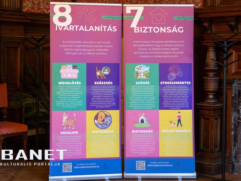 Az állatvédelem aspektusaival ismerkedtek az ovisok Kígyóson Az állatvédelem aspektusaival ismerkedtek az ovisok Kígyóson