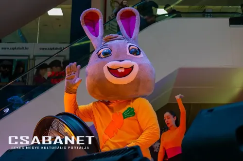 csabanet csaba center szuletesnap 2025 11 22