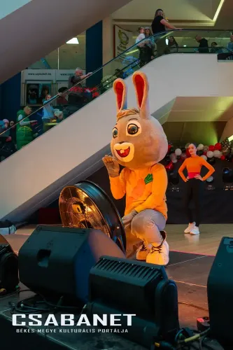 csabanet csaba center szuletesnap 2025 11 22