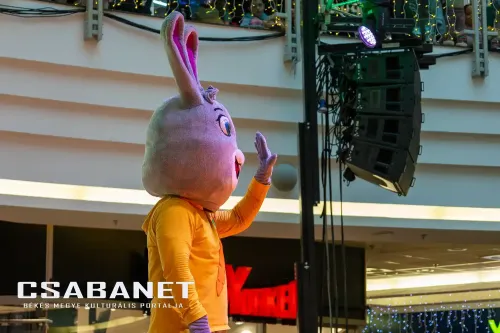 csabanet csaba center szuletesnap 2025 11 22