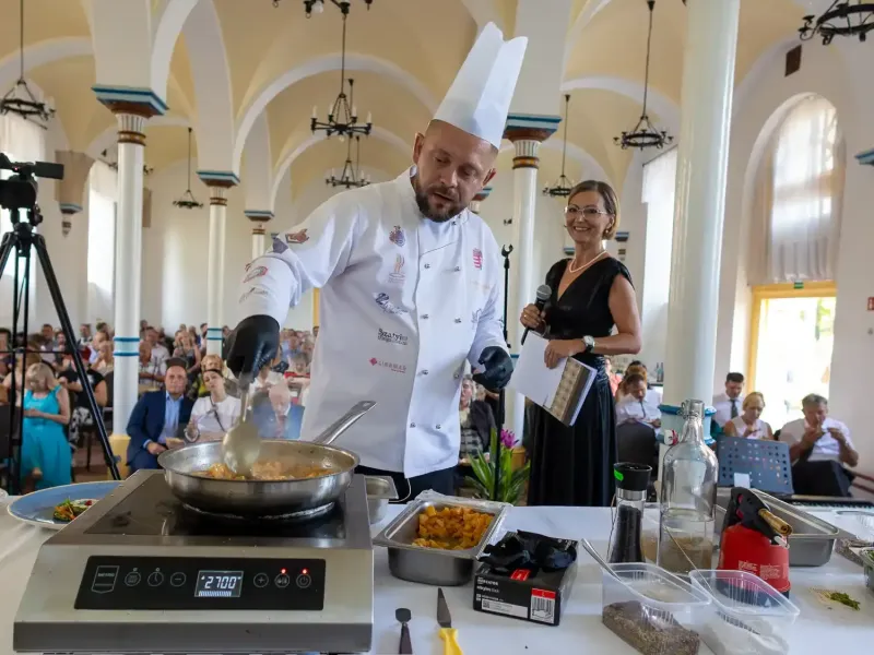 egy estely a kastelyban ii 20250809 egy estely a kastelyban ii 20250809