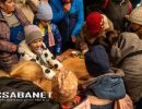 Farsangi felvonulás, télűző mulatság és Balkán táncház 