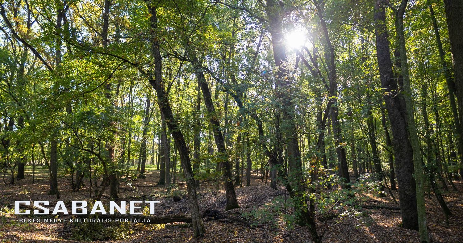 Fáspusztai csoportos kalandozás Boldog Gusztival, szándékos  Fáspusztai csoportos kalandozás Boldog Gusztival, szándékos