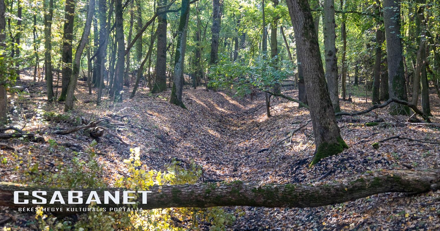 Fáspusztai csoportos kalandozás Boldog Gusztival, szándékos  Fáspusztai csoportos kalandozás Boldog Gusztival, szándékos