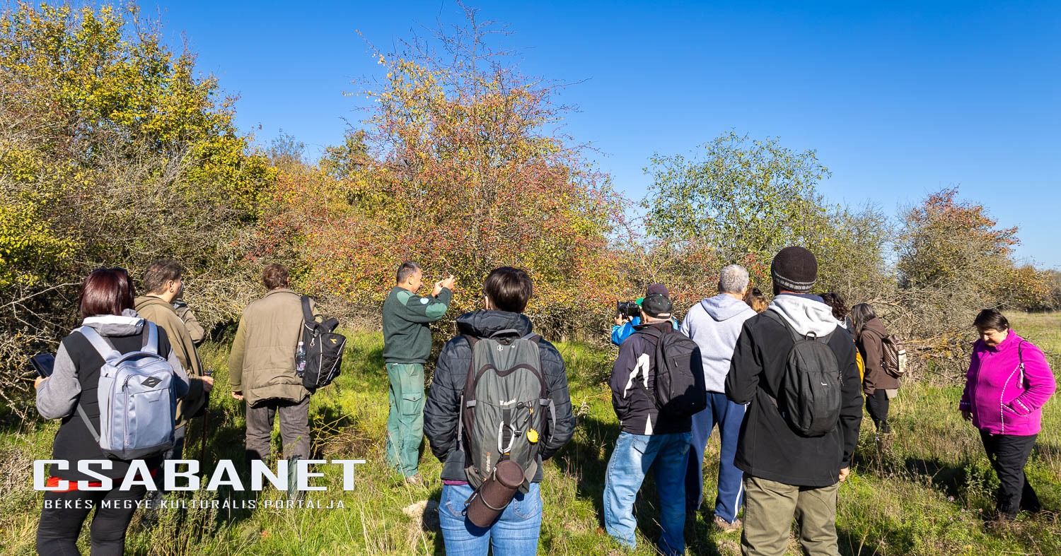 Fáspusztai csoportos kalandozás Boldog Gusztival, szándékos  Fáspusztai csoportos kalandozás Boldog Gusztival, szándékos