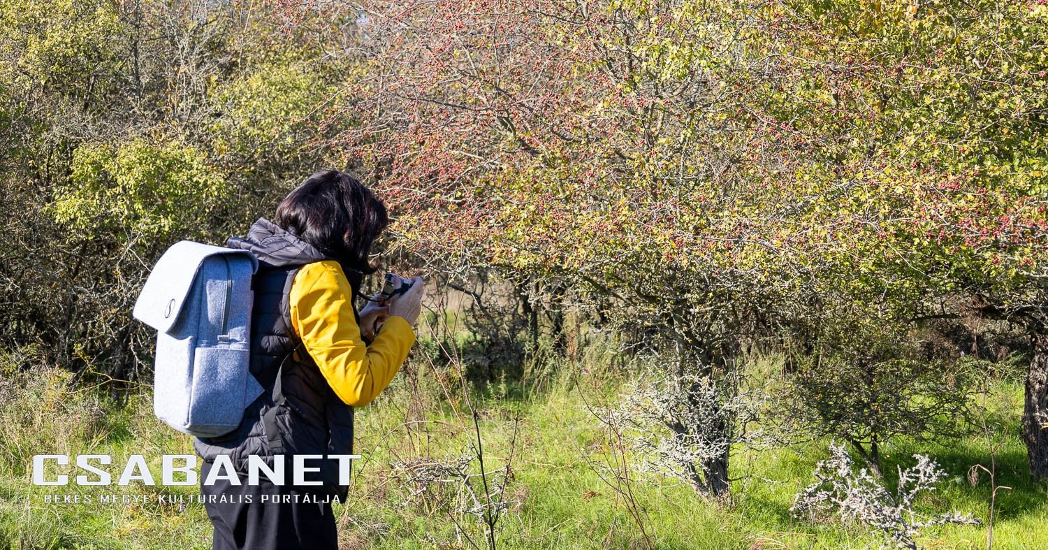 Fáspusztai csoportos kalandozás Boldog Gusztival, szándékos  Fáspusztai csoportos kalandozás Boldog Gusztival, szándékos