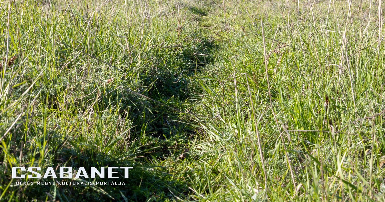 Fáspusztai csoportos kalandozás Boldog Gusztival, szándékos  Fáspusztai csoportos kalandozás Boldog Gusztival, szándékos