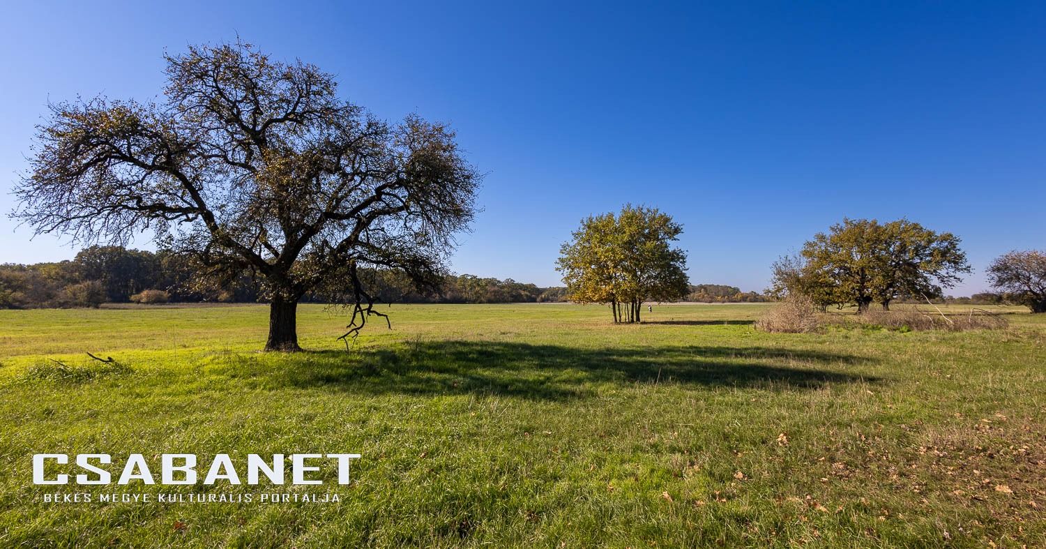 Fáspusztai csoportos kalandozás Boldog Gusztival, szándékos  Fáspusztai csoportos kalandozás Boldog Gusztival, szándékos