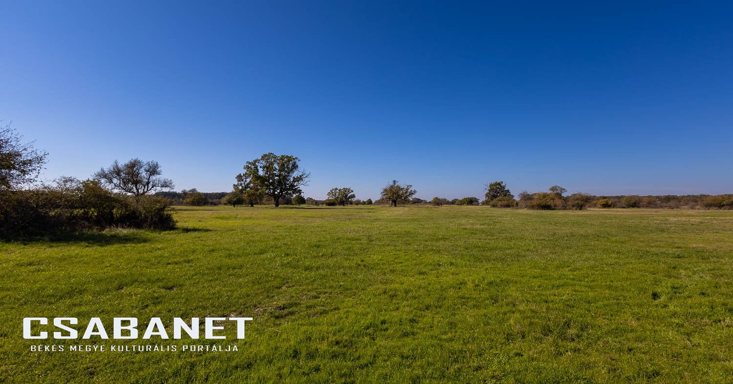 Fáspusztai csoportos kalandozás Boldog Gusztival, szándékos  Fáspusztai csoportos kalandozás Boldog Gusztival, szándékos