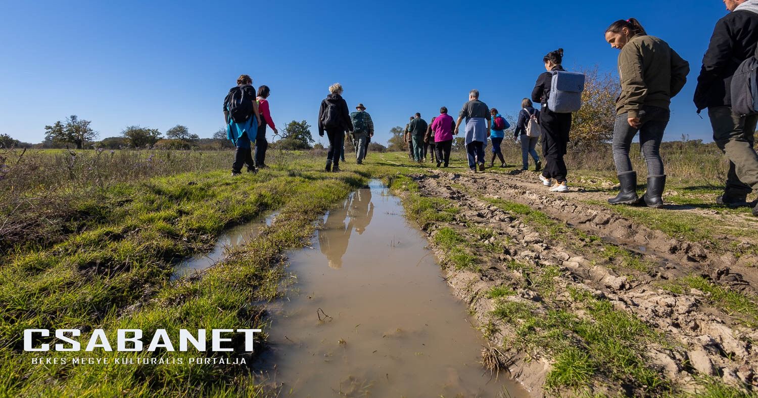 Fáspusztai csoportos kalandozás Boldog Gusztival, szándékos  Fáspusztai csoportos kalandozás Boldog Gusztival, szándékos