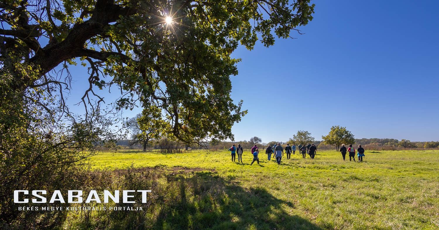 Fáspusztai csoportos kalandozás Boldog Gusztival, szándékos  Fáspusztai csoportos kalandozás Boldog Gusztival, szándékos