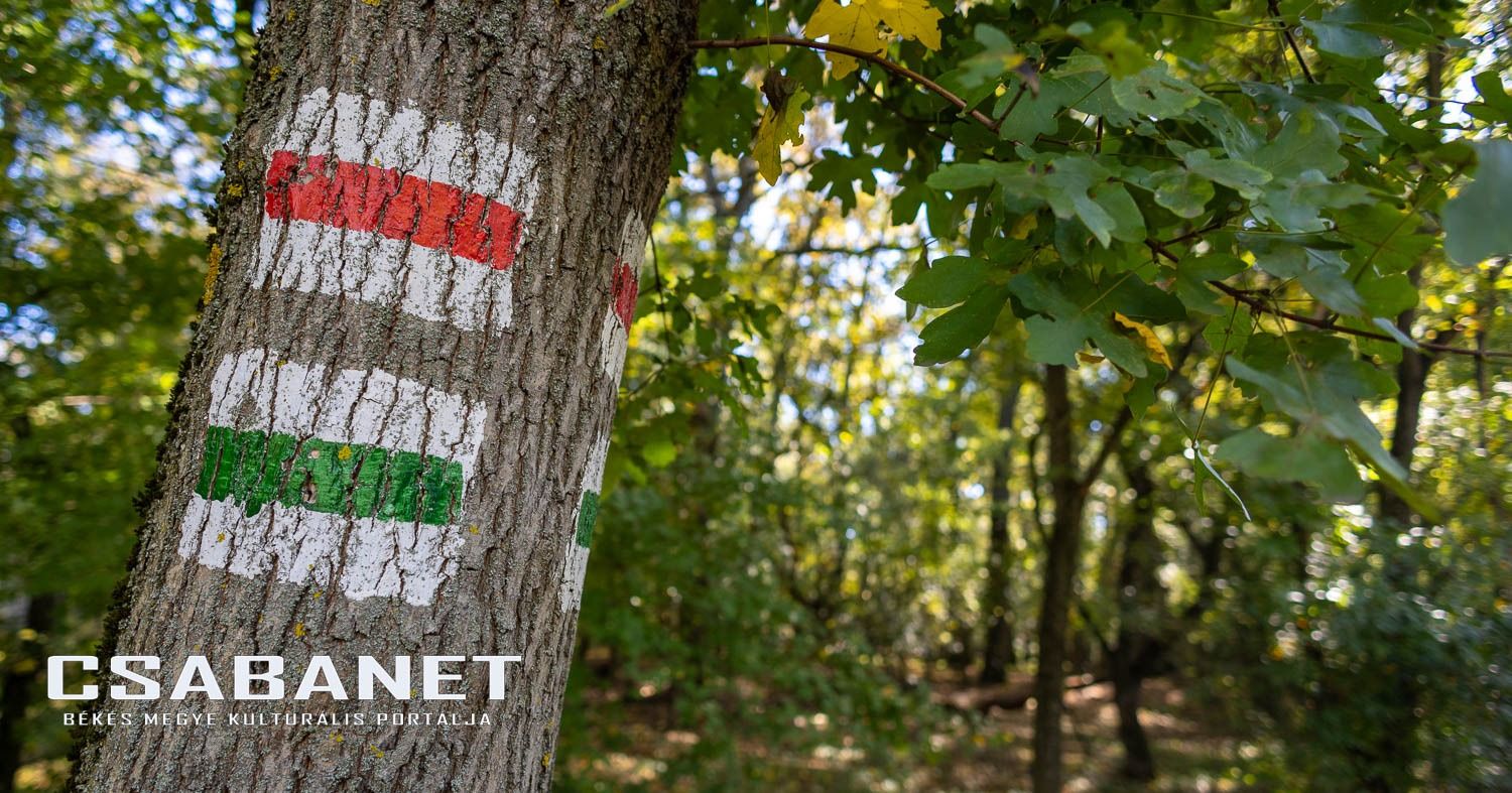 Fáspusztai csoportos kalandozás Boldog Gusztival, szándékos  Fáspusztai csoportos kalandozás Boldog Gusztival, szándékos