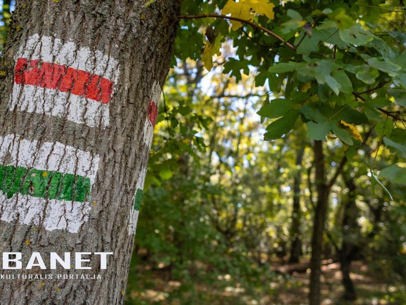 Fáspusztai csoportos kalandozás Boldog Gusztival, szándékos  Fáspusztai csoportos kalandozás Boldog Gusztival, szándékos