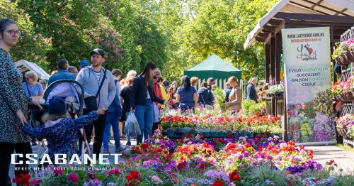 Gyulai Virágok Fesztiválja 2025 Gyulai Virágok Fesztiválja 2025
