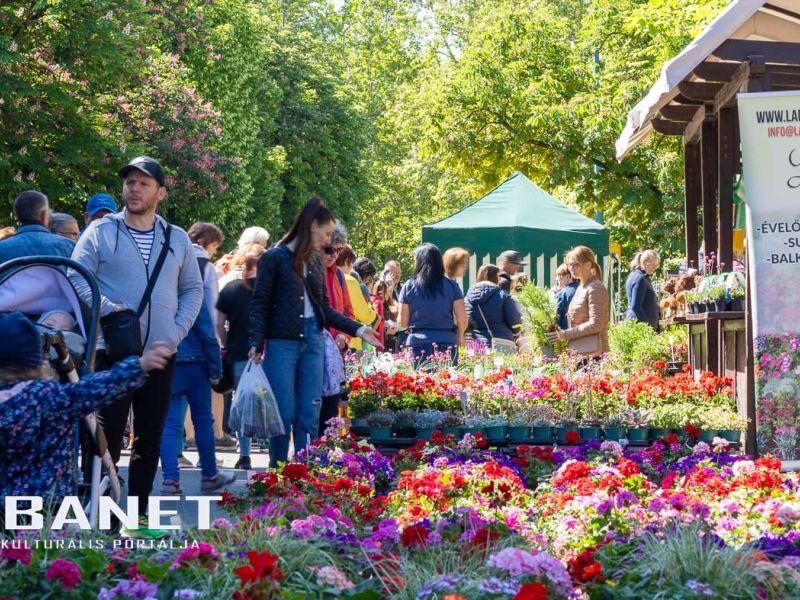 Gyulai Virágok Fesztiválja 2025 Gyulai Virágok Fesztiválja 2025