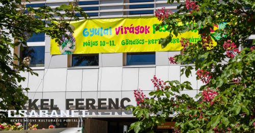 Gyulai Virágok Fesztiválja 2025 Gyulai Virágok Fesztiválja 2025