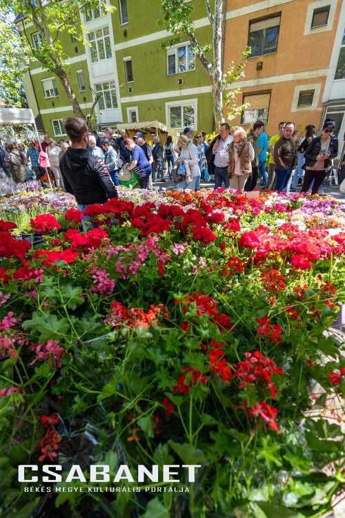 Gyulai Virágok Fesztiválja 2025 Gyulai Virágok Fesztiválja 2025