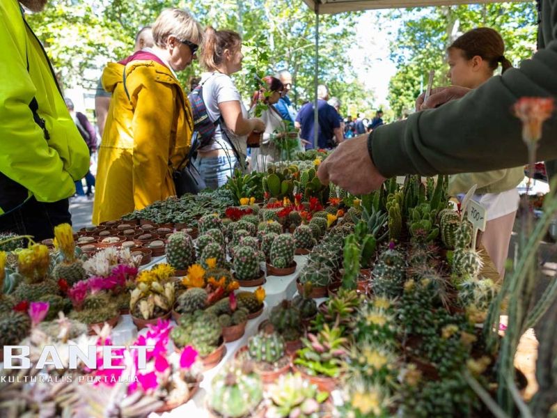 Gyulai Virágok Fesztiválja 2025 Gyulai Virágok Fesztiválja 2025