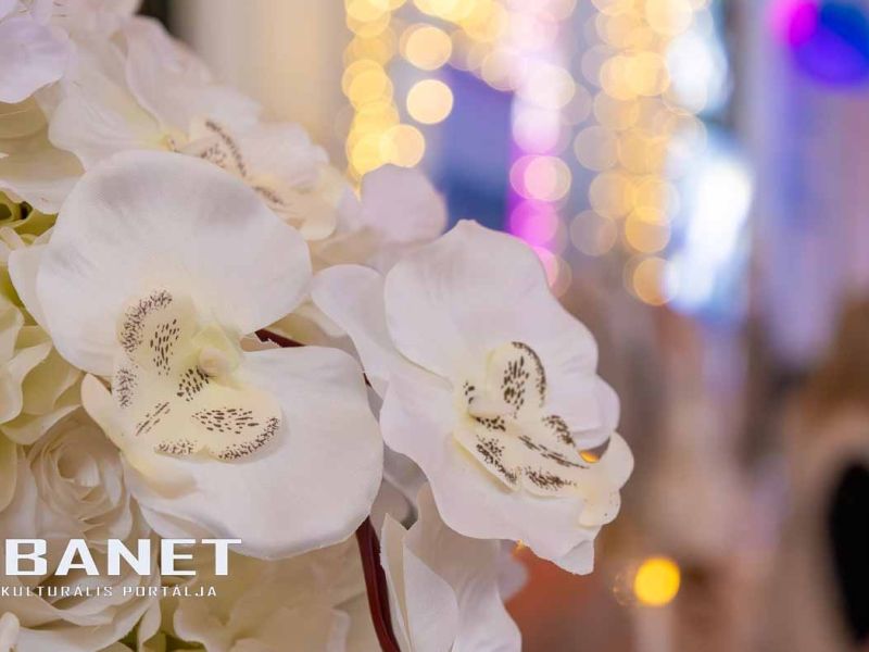 Magical Evening - Esküvő kiállítás Gyulán a Vigadóban Magical Evening - Esküvő kiállítás Gyulán a Vigadóban