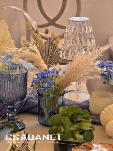 magical evening gyula 20250329 magical evening gyula 20250329