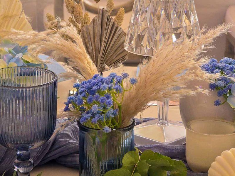 magical evening gyula 20250329 magical evening gyula 20250329