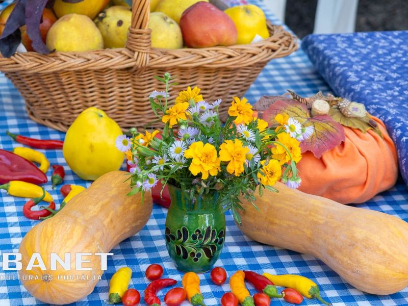 elso kepek csabai szlovak vasar 2024 oktober 26 elso kepek csabai szlovak vasar 2024 oktober 26
