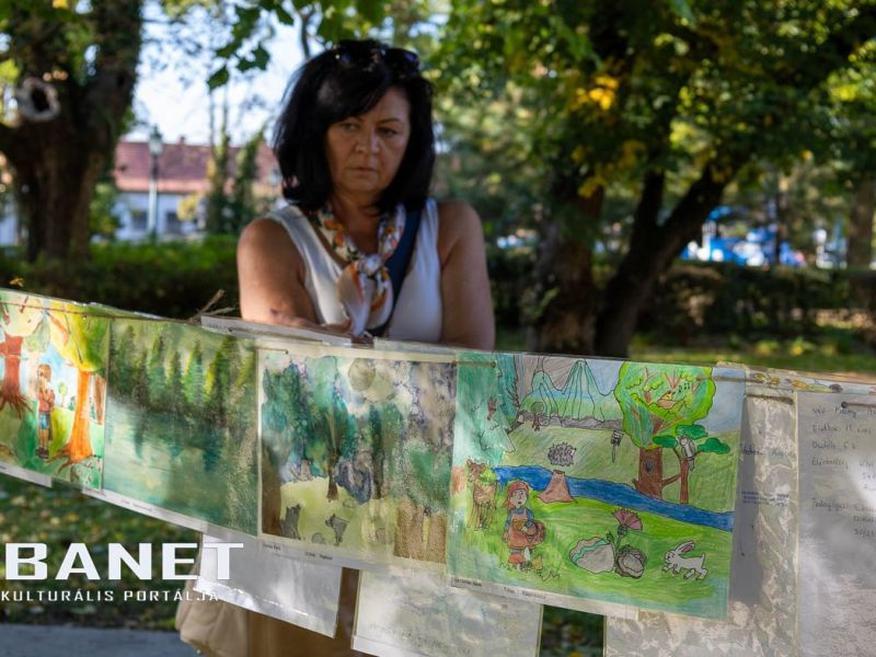 Muzsikál az erdő - Gyula, 2024.09.27 Muzsikál az erdő - Gyula, 2024.09.27