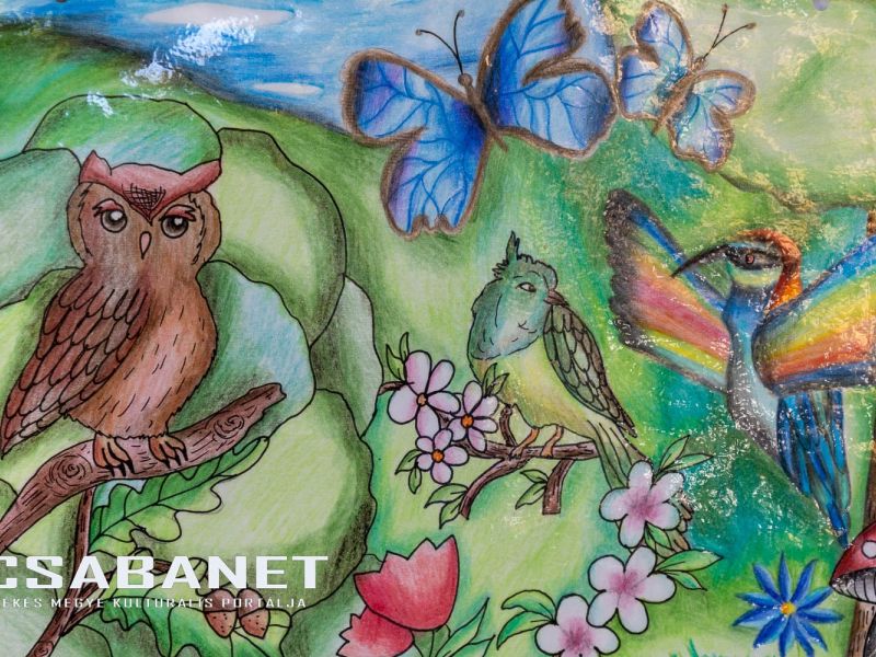 Muzsikál az erdő - Gyula, 2024.09.27 Muzsikál az erdő - Gyula, 2024.09.27