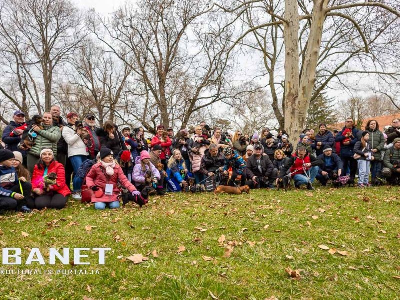 Tacskótalálkozó Gyulán - 2025 Tacskótalálkozó Gyulán - 2025