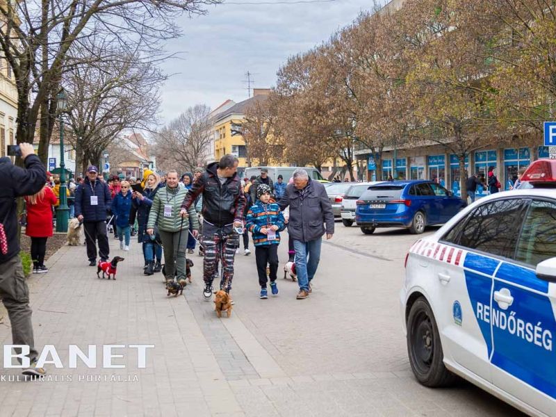 Tacskótalálkozó Gyulán - 2025 Tacskótalálkozó Gyulán - 2025