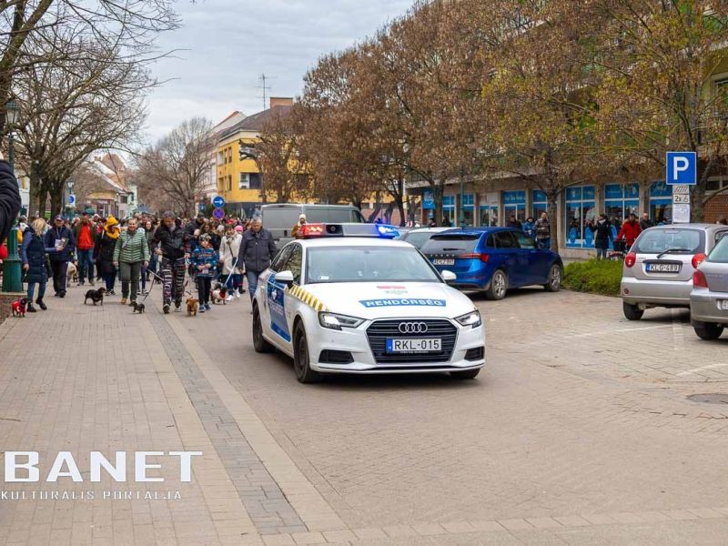 Tacskótalálkozó Gyulán - 2025 Tacskótalálkozó Gyulán - 2025