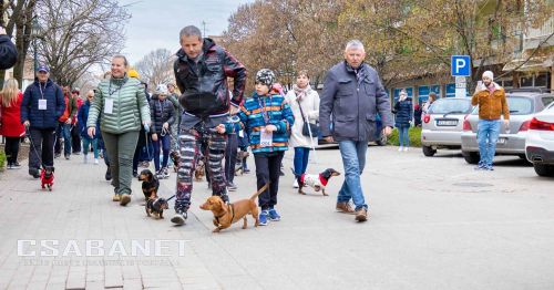 Tacskótalálkozó Gyulán - 2025 Tacskótalálkozó Gyulán - 2025