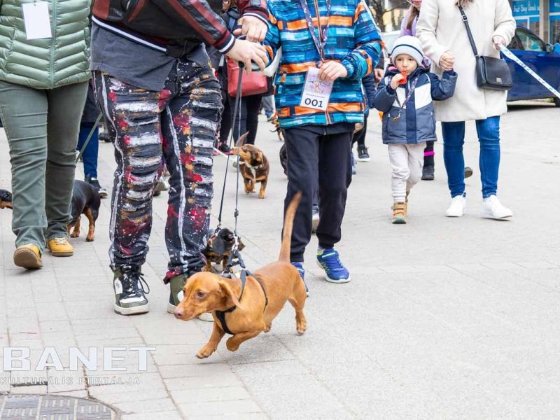 Tacskótalálkozó Gyulán - 2025 Tacskótalálkozó Gyulán - 2025