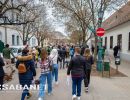 Tacskótalálkozó Gyulán - 2025