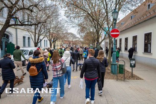 Tacskótalálkozó Gyulán - 2025 Tacskótalálkozó Gyulán - 2025