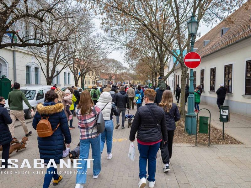 Tacskótalálkozó Gyulán - 2025 Tacskótalálkozó Gyulán - 2025