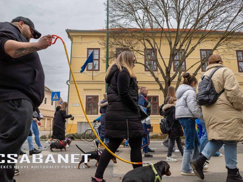 Tacskótalálkozó Gyulán - 2025 Tacskótalálkozó Gyulán - 2025